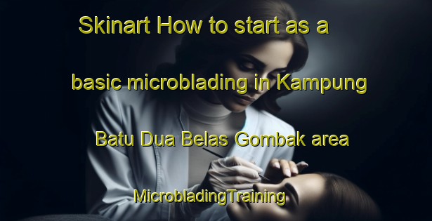 Skinart How to start as a basic microblading in Kampung Batu Dua Belas Gombak area | MicrobladingTraining | MicrobladingClasses | SkinartTraining-Malaysia