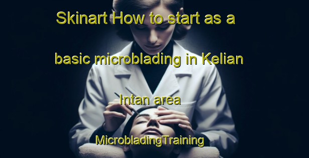 Skinart How to start as a basic microblading in Kelian Intan area | MicrobladingTraining | MicrobladingClasses | SkinartTraining-Malaysia