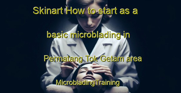 Skinart How to start as a basic microblading in Permatang Tok Getam area | MicrobladingTraining | MicrobladingClasses | SkinartTraining-Malaysia