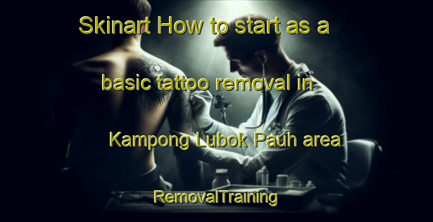 Skinart How to start as a basic tattoo removal in Kampong Lubok Pauh area | RemovalTraining | RemovalClasses | SkinartTraining-Malaysia