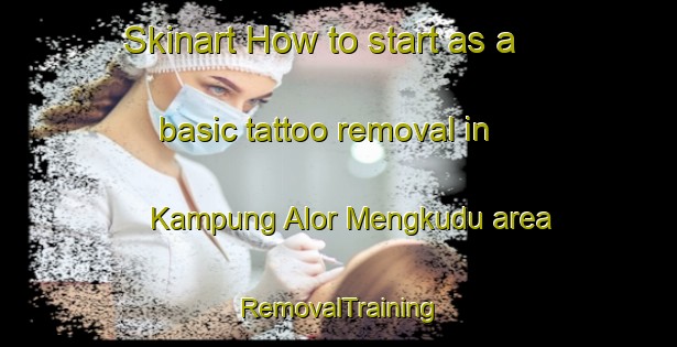 Skinart How to start as a basic tattoo removal in Kampung Alor Mengkudu area | RemovalTraining | RemovalClasses | SkinartTraining-Malaysia