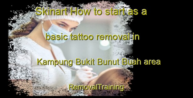 Skinart How to start as a basic tattoo removal in Kampung Bukit Bunut Buah area | RemovalTraining | RemovalClasses | SkinartTraining-Malaysia