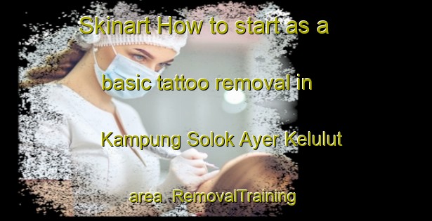 Skinart How to start as a basic tattoo removal in Kampung Solok Ayer Kelulut area | RemovalTraining | RemovalClasses | SkinartTraining-Malaysia