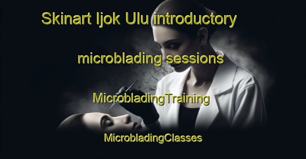 Skinart Ijok Ulu introductory microblading sessions | #MicrobladingTraining #MicrobladingClasses #SkinartTraining-Malaysia