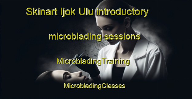 Skinart Ijok Ulu introductory microblading sessions | MicrobladingTraining | MicrobladingClasses | SkinartTraining-Malaysia