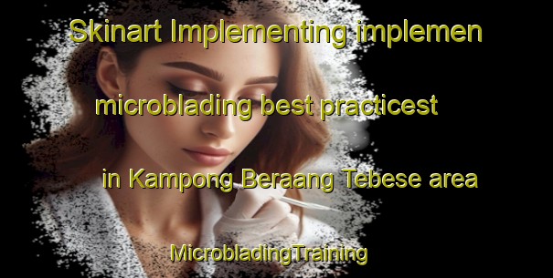 Skinart Implementing implemen microblading best practicest in Kampong Beraang Tebese area | MicrobladingTraining | MicrobladingClasses | SkinartTraining-Malaysia