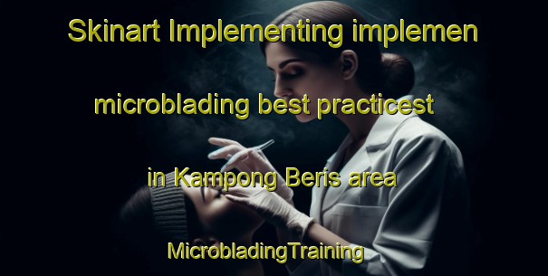Skinart Implementing implemen microblading best practicest in Kampong Beris area | MicrobladingTraining | MicrobladingClasses | SkinartTraining-Malaysia