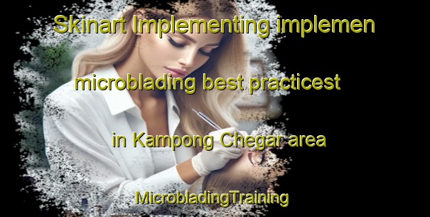 Skinart Implementing implemen microblading best practicest in Kampong Chegar area | #MicrobladingTraining #MicrobladingClasses #SkinartTraining-Malaysia