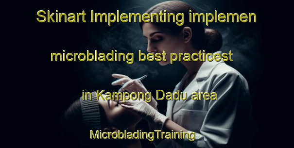 Skinart Implementing implemen microblading best practicest in Kampong Dadu area | MicrobladingTraining | MicrobladingClasses | SkinartTraining-Malaysia