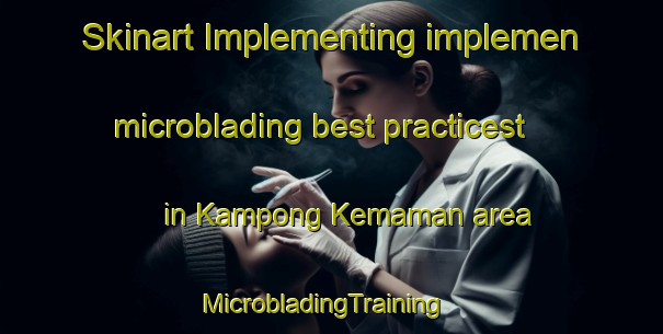 Skinart Implementing implemen microblading best practicest in Kampong Kemaman area | MicrobladingTraining | MicrobladingClasses | SkinartTraining-Malaysia