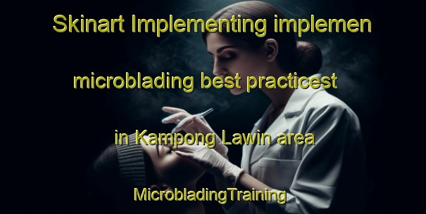 Skinart Implementing implemen microblading best practicest in Kampong Lawin area | #MicrobladingTraining #MicrobladingClasses #SkinartTraining-Malaysia