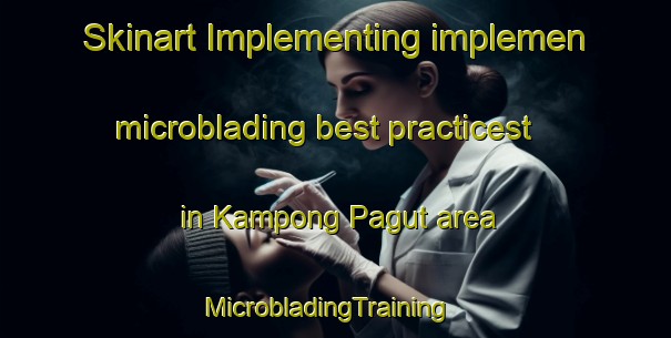 Skinart Implementing implemen microblading best practicest in Kampong Pagut area | MicrobladingTraining | MicrobladingClasses | SkinartTraining-Malaysia