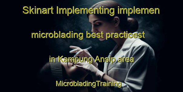 Skinart Implementing implemen microblading best practicest in Kampung Ansip area | MicrobladingTraining | MicrobladingClasses | SkinartTraining-Malaysia