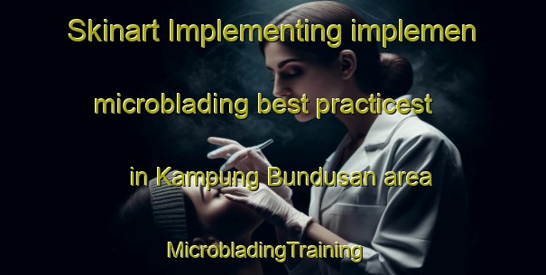Skinart Implementing implemen microblading best practicest in Kampung Bundusan area | MicrobladingTraining | MicrobladingClasses | SkinartTraining-Malaysia