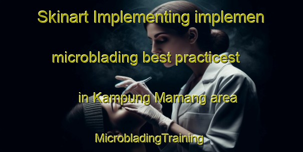 Skinart Implementing implemen microblading best practicest in Kampung Mamang area | #MicrobladingTraining #MicrobladingClasses #SkinartTraining-Malaysia