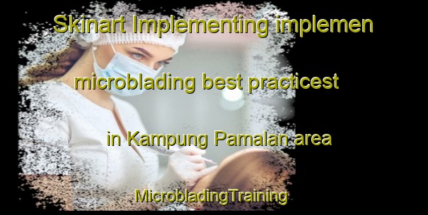 Skinart Implementing implemen microblading best practicest in Kampung Pamalan area | #MicrobladingTraining #MicrobladingClasses #SkinartTraining-Malaysia