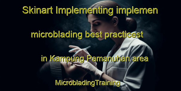 Skinart Implementing implemen microblading best practicest in Kampung Pamanuhan area | MicrobladingTraining | MicrobladingClasses | SkinartTraining-Malaysia