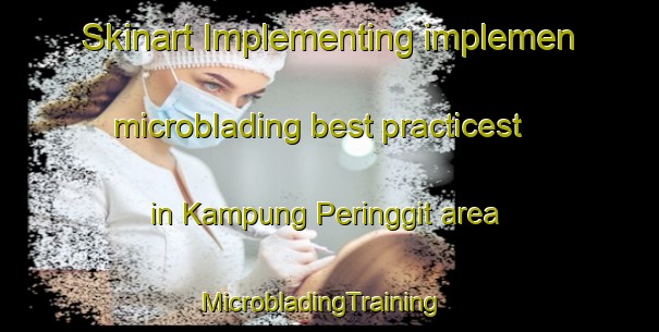 Skinart Implementing implemen microblading best practicest in Kampung Peringgit area | MicrobladingTraining | MicrobladingClasses | SkinartTraining-Malaysia