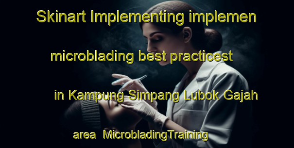 Skinart Implementing implemen microblading best practicest in Kampung Simpang Lubok Gajah area | MicrobladingTraining | MicrobladingClasses | SkinartTraining-Malaysia