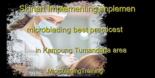 Skinart Implementing implemen microblading best practicest in Kampung Tumandaha area | MicrobladingTraining | MicrobladingClasses | SkinartTraining-Malaysia