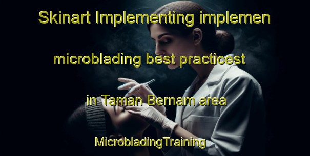 Skinart Implementing implemen microblading best practicest in Taman Bernam area | MicrobladingTraining | MicrobladingClasses | SkinartTraining-Malaysia