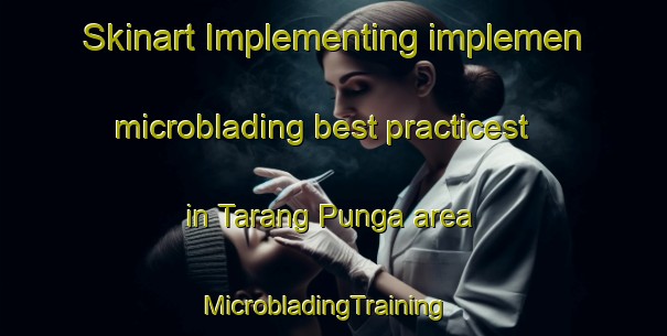 Skinart Implementing implemen microblading best practicest in Tarang Punga area | MicrobladingTraining | MicrobladingClasses | SkinartTraining-Malaysia