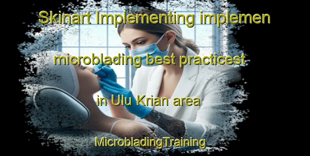 Skinart Implementing implemen microblading best practicest in Ulu Krian area | MicrobladingTraining | MicrobladingClasses | SkinartTraining-Malaysia