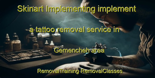 Skinart Implementing implement a tattoo removal service in Gemencheh area | #RemovalTraining #RemovalClasses #SkinartTraining-Malaysia