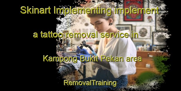 Skinart Implementing implement a tattoo removal service in Kampong Bukit Pekan area | RemovalTraining | RemovalClasses | SkinartTraining-Malaysia