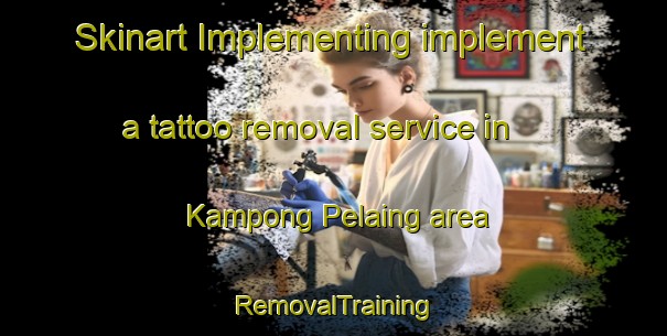 Skinart Implementing implement a tattoo removal service in Kampong Pelaing area | RemovalTraining | RemovalClasses | SkinartTraining-Malaysia