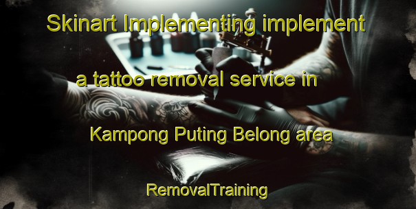Skinart Implementing implement a tattoo removal service in Kampong Puting Belong area | RemovalTraining | RemovalClasses | SkinartTraining-Malaysia