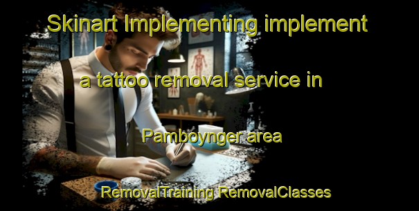 Skinart Implementing implement a tattoo removal service in Pamboynger area | #RemovalTraining #RemovalClasses #SkinartTraining-Malaysia