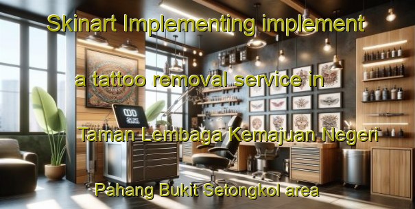 Skinart Implementing implement a tattoo removal service in Taman Lembaga Kemajuan Negeri Pahang Bukit Setongkol area | RemovalTraining | RemovalClasses | SkinartTraining-Malaysia