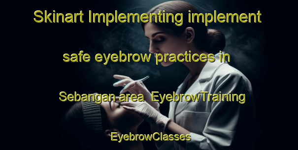 Skinart Implementing implement safe eyebrow practices in Sebangan area | EyebrowTraining | EyebrowClasses | SkinartTraining-Malaysia