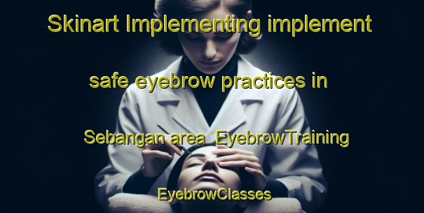 Skinart Implementing implement safe eyebrow practices in Sebangan area | EyebrowTraining | EyebrowClasses | SkinartTraining-Malaysia