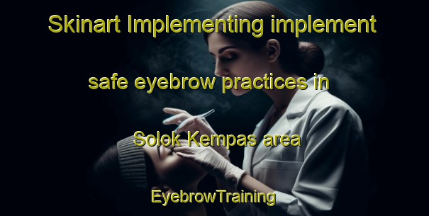 Skinart Implementing implement safe eyebrow practices in Solok Kempas area | EyebrowTraining | EyebrowClasses | SkinartTraining-Malaysia