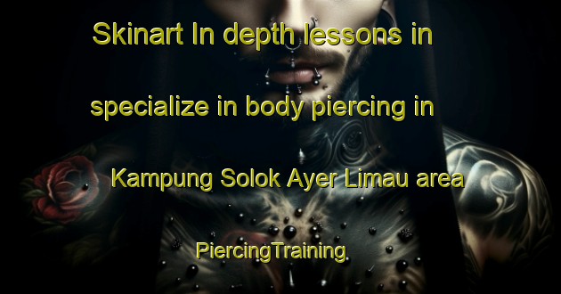 Skinart In-depth lessons in specialize in body piercing in Kampung Solok Ayer Limau area | PiercingTraining | PiercingClasses | SkinartTraining-Malaysia
