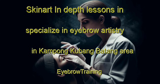 Skinart In-depth lessons in specialize in eyebrow artistry in Kampong Kubang Batang area | EyebrowTraining | EyebrowClasses | SkinartTraining-Malaysia
