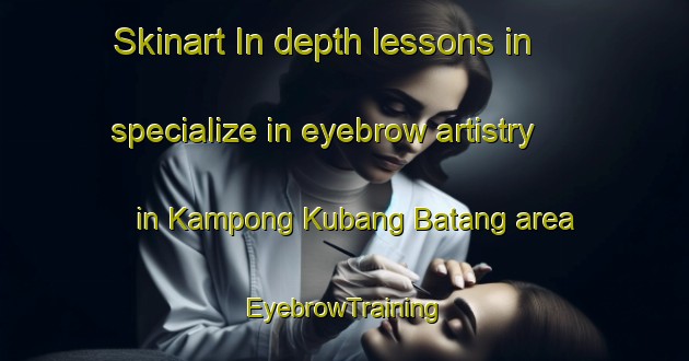Skinart In-depth lessons in specialize in eyebrow artistry in Kampong Kubang Batang area | EyebrowTraining | EyebrowClasses | SkinartTraining-Malaysia