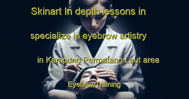 Skinart In-depth lessons in specialize in eyebrow artistry in Kampung Permatang Laut area | EyebrowTraining | EyebrowClasses | SkinartTraining-Malaysia