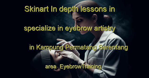 Skinart In-depth lessons in specialize in eyebrow artistry in Kampung Permatang Serentang area | EyebrowTraining | EyebrowClasses | SkinartTraining-Malaysia