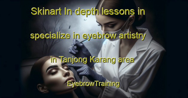 Skinart In-depth lessons in specialize in eyebrow artistry in Tanjong Karang area | EyebrowTraining | EyebrowClasses | SkinartTraining-Malaysia