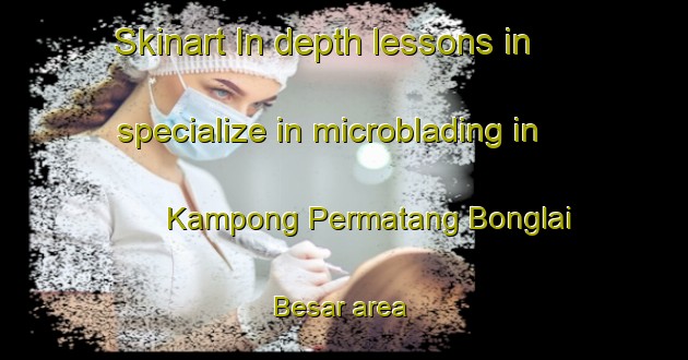 Skinart In-depth lessons in specialize in microblading in Kampong Permatang Bonglai Besar area | MicrobladingTraining | MicrobladingClasses | SkinartTraining-Malaysia
