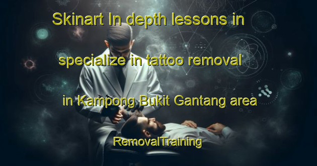 Skinart In-depth lessons in specialize in tattoo removal in Kampong Bukit Gantang area | RemovalTraining | RemovalClasses | SkinartTraining-Malaysia