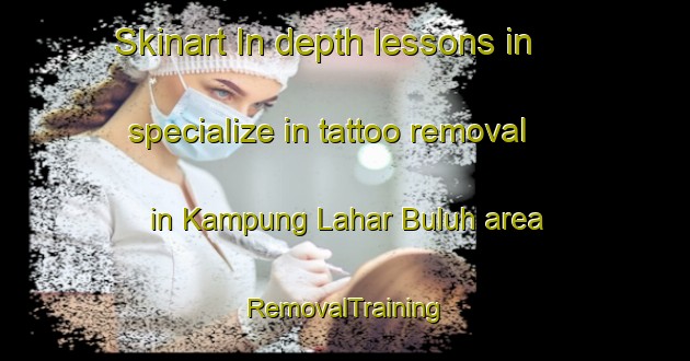 Skinart In-depth lessons in specialize in tattoo removal in Kampung Lahar Buluh area | RemovalTraining | RemovalClasses | SkinartTraining-Malaysia