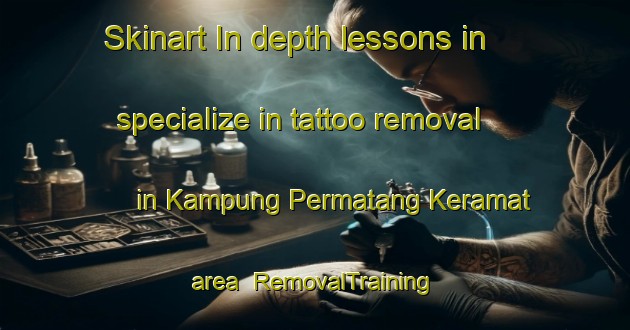Skinart In-depth lessons in specialize in tattoo removal in Kampung Permatang Keramat area | RemovalTraining | RemovalClasses | SkinartTraining-Malaysia
