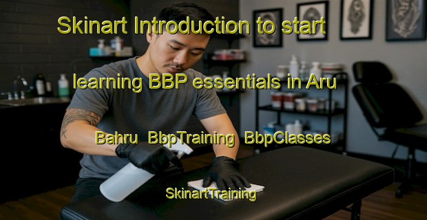 Skinart Introduction to start learning BBP essentials in Aru Bahru | BbpTraining | BbpClasses | SkinartTraining-Malaysia