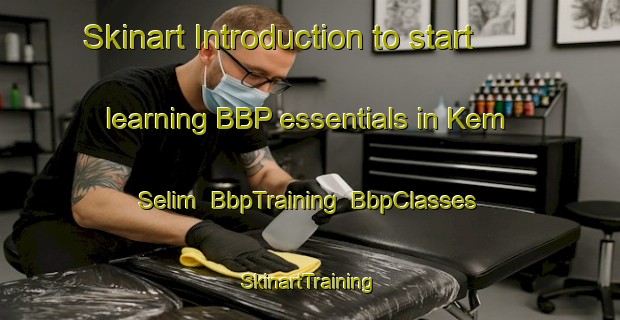 Skinart Introduction to start learning BBP essentials in Kem Selim | BbpTraining | BbpClasses | SkinartTraining-Malaysia
