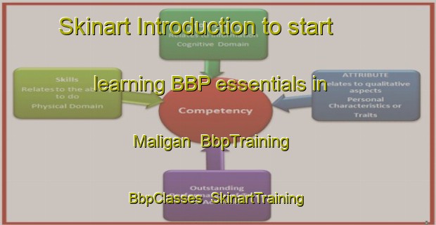 Skinart Introduction to start learning BBP essentials in Maligan | BbpTraining | BbpClasses | SkinartTraining-Malaysia