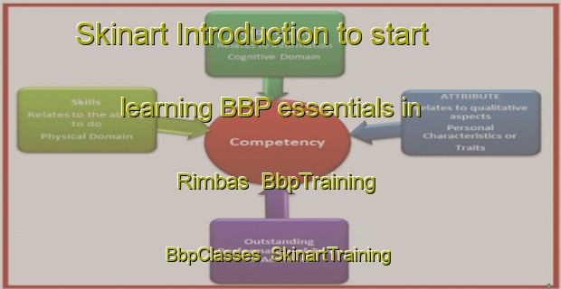 Skinart Introduction to start learning BBP essentials in Rimbas | BbpTraining | BbpClasses | SkinartTraining-Malaysia